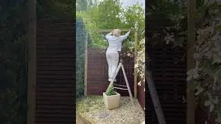 Преображение сада для родителей. Часть 2. Преображение этого скучного угла. #сад #сделайсам #прео...