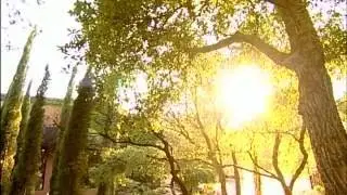 The Best Documentary Ever - Taste of California Napa