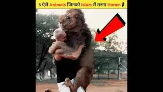 Best Animals in Islam | #shortsfeed #facts