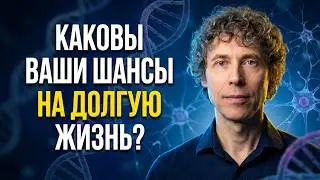 Почему вы стареете и устаёте быстрее, чем должны?
