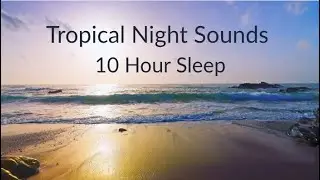 Deep Sleep Ocean Waves 🌊 | 10 Hours of Relaxing Night Sounds