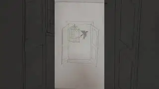 bird freedom in cage Drawing by SA.Ali 