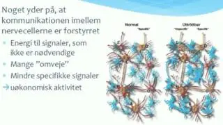Årsager til trætheden // Hjerneskadetræthed