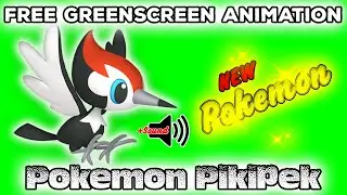✨New Pokemon✨ Pikipek Animation Greenscreen | Free Copyright | Gratis #Pikipek