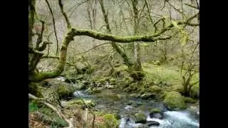 Asturies que guapina yes. Rio Infierno Pilo&ntilde;a
