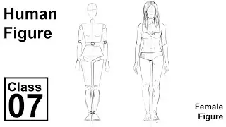 Female figure Front View step by step (Class - 7)