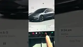 Tesla Sentry Mode Captures Grocery Cart Moment