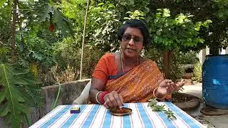 DEEPAM  WITH  HERBAL  LEAF