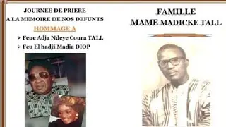 Direct Saint Louis Ziara famille Mame Madik&eacute; Tall 40 em &eacute;dition