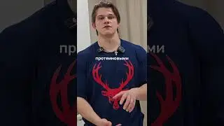 тгк ALEXUS про белок. что думаете? #alexus #спорттомск #бодибилдинг