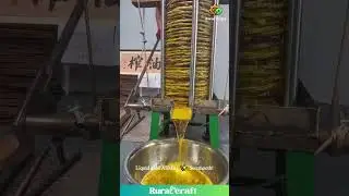 Satisfying Oil Press ASMR! Watching That Golden Liquid Gold Flow is MESMERIZING! #satisfying