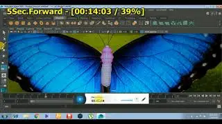 butterfly modeling in maya2016 part 1