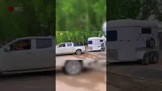 2 horse angle load trailer shipment ~