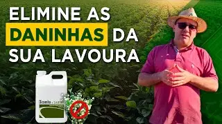 Saiba Como Usar o Dicamba - com Prof  Leandro Galon