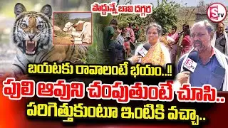 ఒక్క రాత్రిలో ఐదు ఆవులు | Leopard Terror in Siddipet District | Five Cows Incident | siddipet