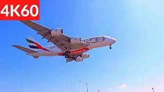 LAX Plane Spotting | Arriving Flights with some Special Liveries (Part II) | 04/01/2022