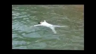 TaiChi Intensive - Floating Level 1