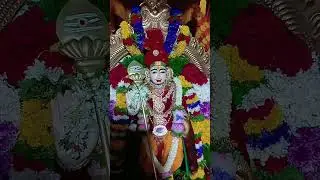 lord murga 🙏🙏🙏🙏#murga song# murga status
