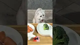 The Ultimate Cat Food Taste Test! 😻🍽️