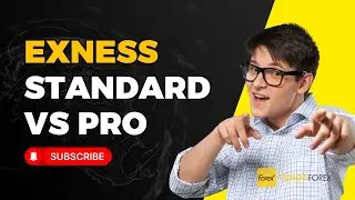 So S&aacute;nh T&agrave;i Khoản Exness Standard v&agrave; Pro: Người Mới N&ecirc;n Chọn Loại N&agrave;o?