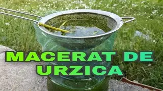 MACERAT DE URZICA Ep.2 pentru pomi fructiferi și legume Livada Bio