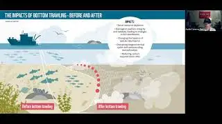 Impacts on Fisheries 