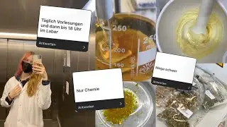 Vorurteile übers Pharmaziestudium- Was ist dran?👩‍🔬📚🔬