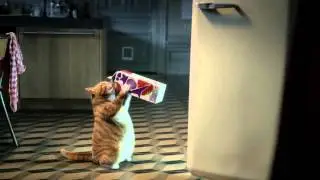 Yoki commercial Kat 2013 incl. Drankenvergelijker