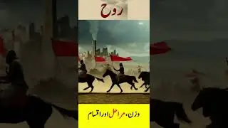 What Is Rooh in Quran ? Rooh In Islam, Rooh Kya Hai ? What Is Soul ? Rooh In Quran, Rooh Ki Haqeeqat