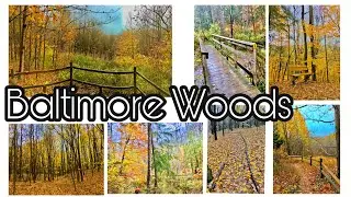 Baltimore Woods Marcellus NY