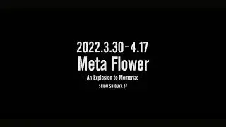Meta Flower solo Exhibition 「An Explosion to Memorize 」Teaser