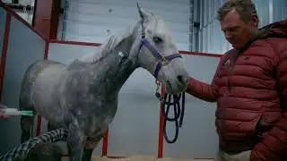 Roaring Fork Equine Medical Center