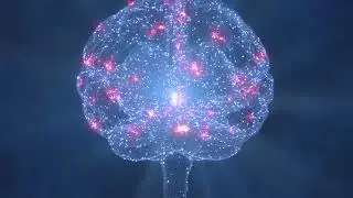 WerD - Of the Mind (Visual Experience)