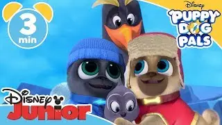 Puppy Dog Pals | South Pole Adventure  - Magical Moment | @disneykids