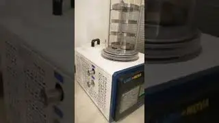 Lab freeze dryer