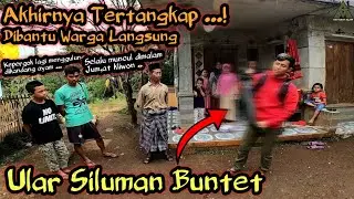 AKHIRNYA TERTANGKAP! ULAR BUNTET TELAH DITEMUKAN! WUJUDNYA SANGAT MENGERIKAN! DIBANTU LANGSUNG WARGA