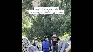 Antisemitic rhetoric and the glorification of terrorist organisations at the University of Vienna
