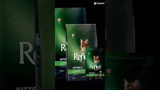 All Range of REFLEX cat food available at A-ONE PETS STOREfor order call 03314493767