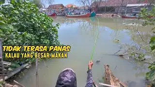 Tidak Kefikiran Bakalan Dapet yang besar besar mancing di muara ini 