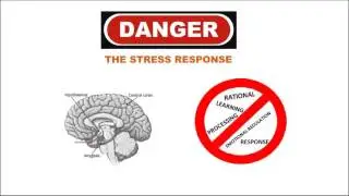 Understanding Trauma and Creating a Trauma Informed Agency