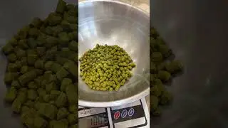 MY BREW DAY IPA #shorts