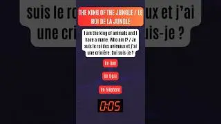 Can You Solve This French Riddle? Test Your Language Skills! 🇫🇷🧠