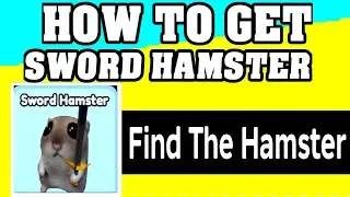 How To Get SWORD HAMSTER in FIND THE HAMSTER ROBLOX [walkthrough] [UPDATE] [FIND GAME]
