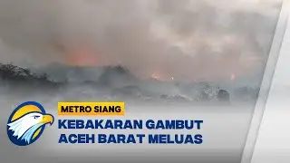 Kebakaran Lahan Gambut di Aceh Barat Terus Meluas, BPBD Berjuang Padamkan Api - [Metro Siang]