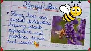 5 Lines Essay on Honey Bee | Short Essay on Honey Bee | 5 Lines About Honey Bee | Essay on Honey Bee