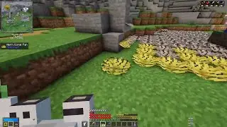Who said coral fans should be Vaultar items! - Vault 24