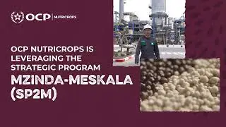 OCP Nutricrops announces a strategic investment to increase fertilizer production capacity: SP2M