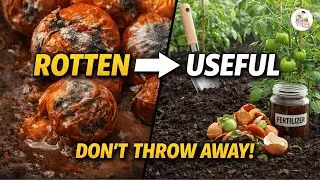 🍅| DON&rsquo;T THROW AWAY: LIFE HACKS You&rsquo;ll WISH You Knew Sooner !!