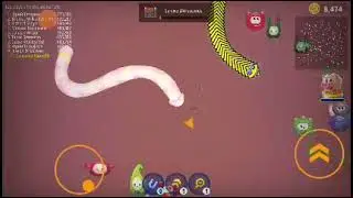 WORMS ZONE AD 2021
