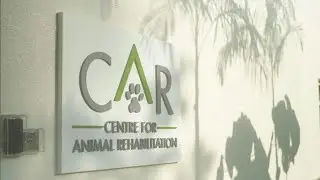 Behind The Scenes | Centre for Animal Rehabilitation